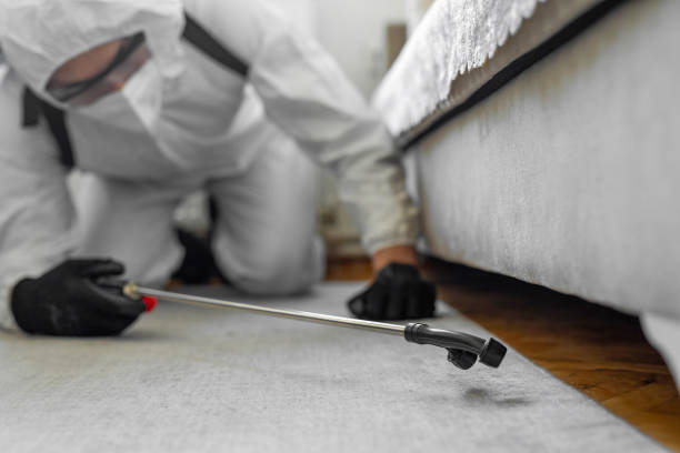 Professional Bed Bug Control technician working in Winchester, VA